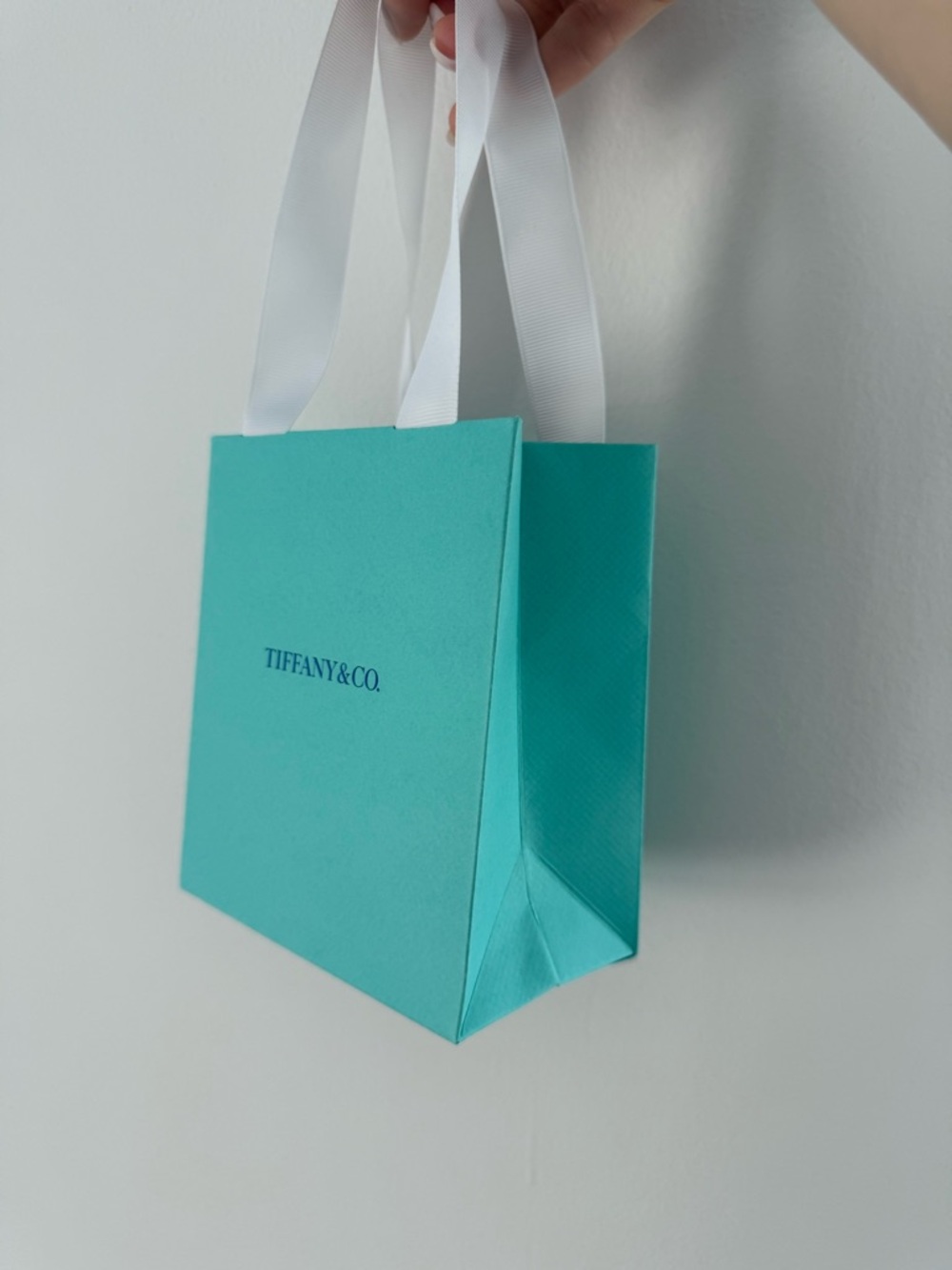 Tiffany & Co. Robin's Egg Blue Gift Bag